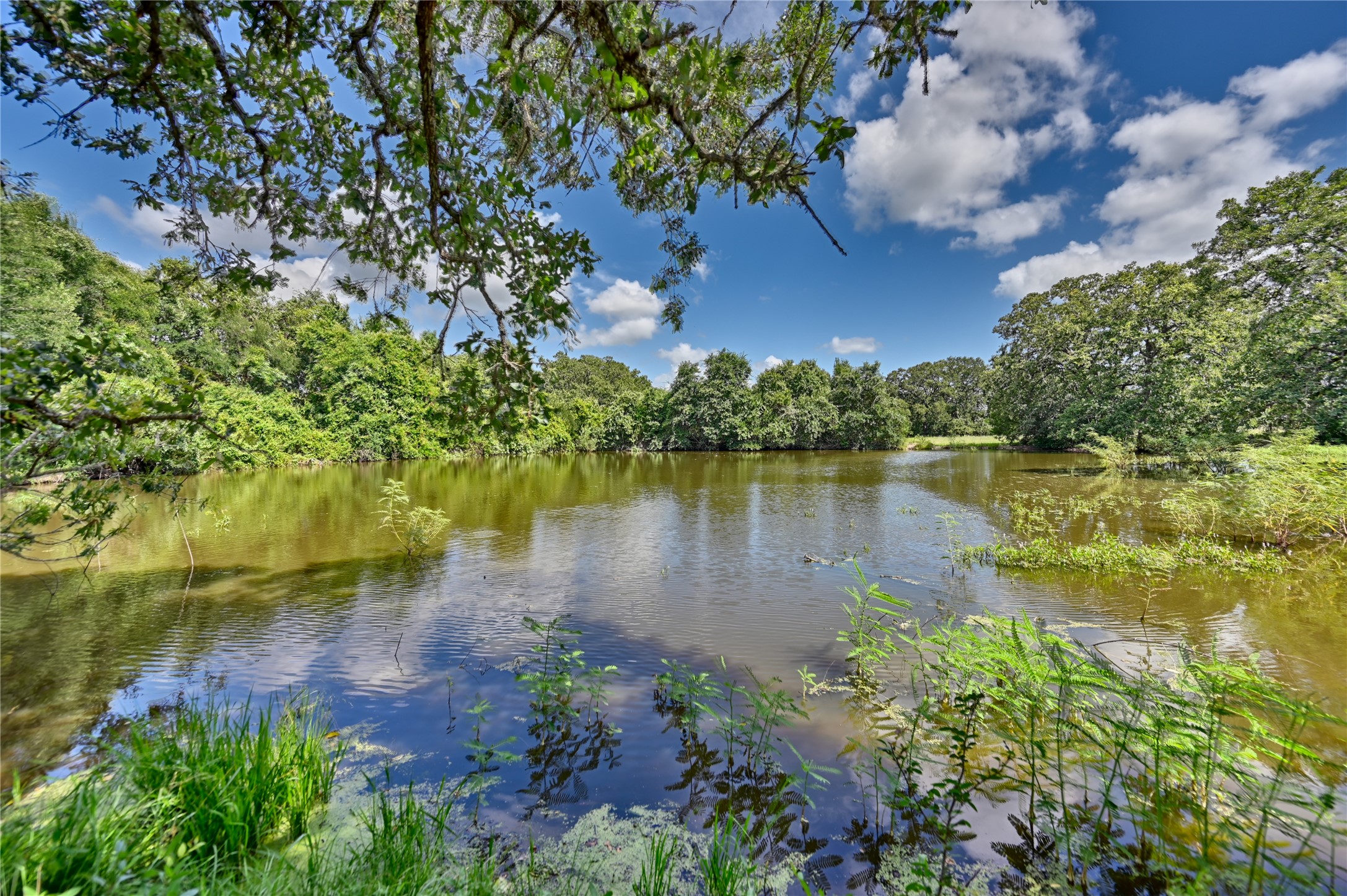 0 Homeyer Mountain Road Burton, TX 77835 - Photo 13 of 17 a view of a lake with a lake