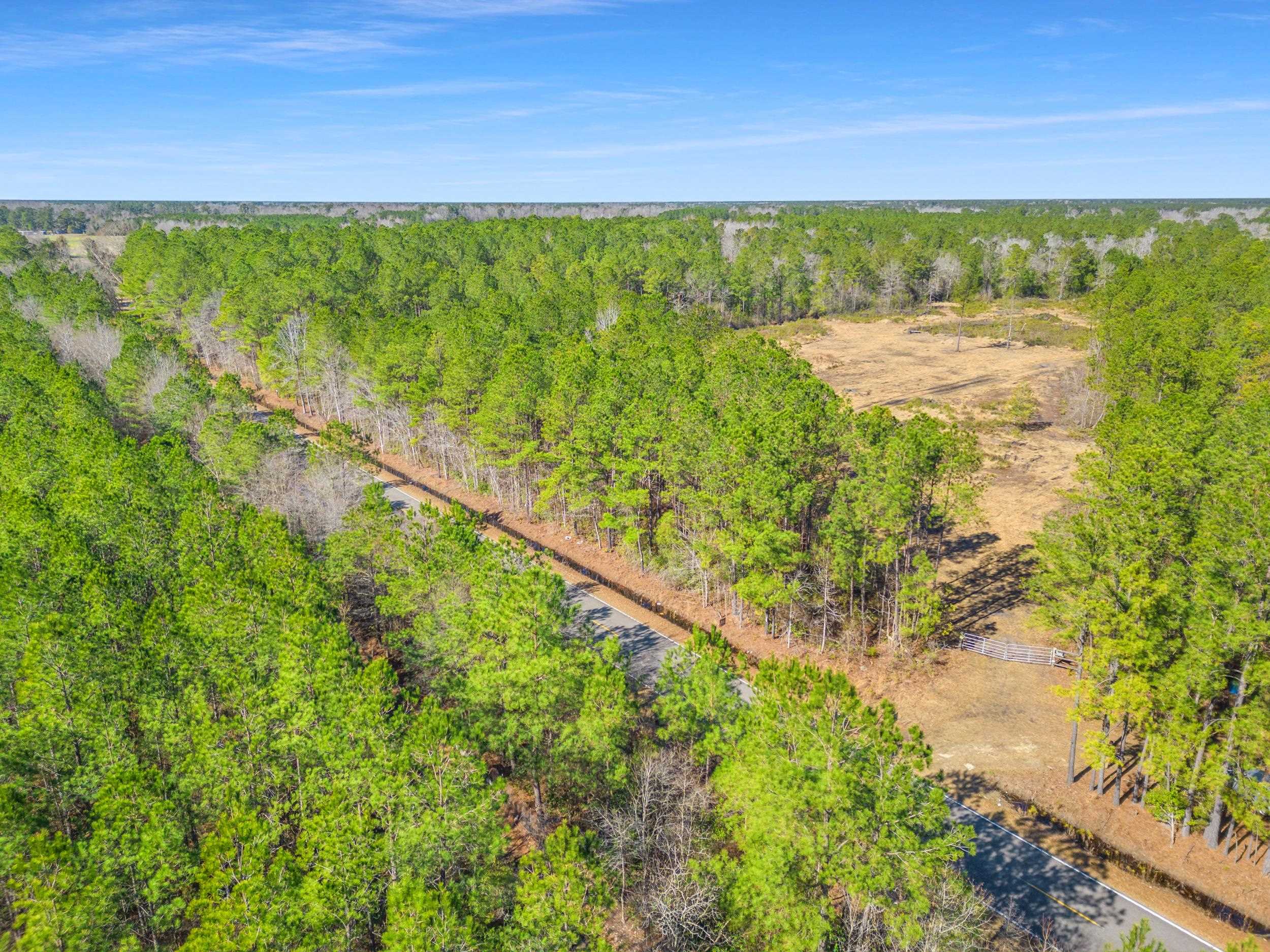Tbd Williams Hill Road Hemingway, SC 29554 - Photo 14 of 17