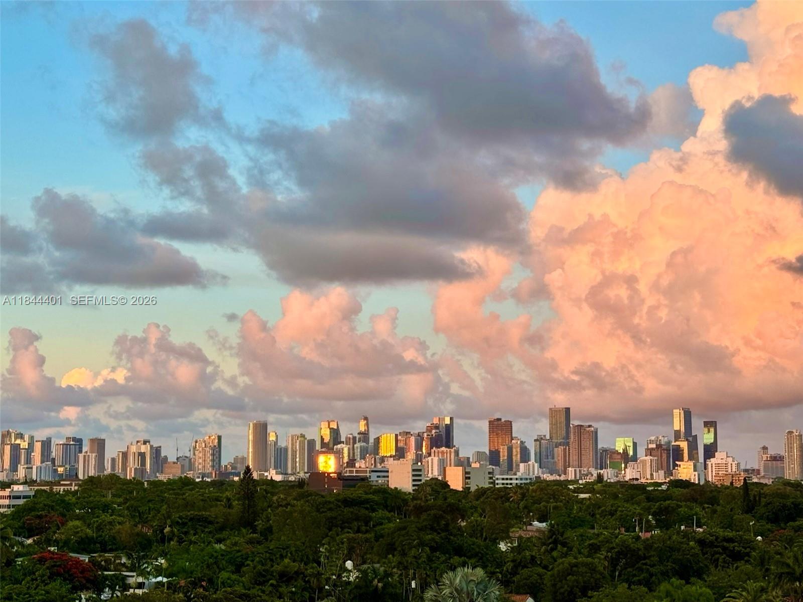 2425 Southwest 27th Avenue, Unit 701 Miami, FL 33145 - Photo 47 of 49 Balcony View Facing Downtown/Brickell