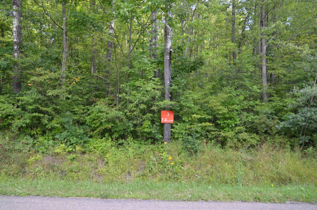 Lot # South Hibbard Road Big Flats, NY 14814 - Photo 1 of 1