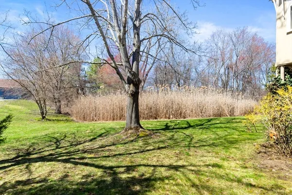 a view of a backyard of the house