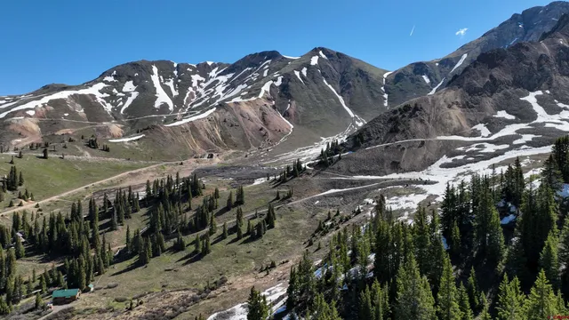 a view of a city with a tree in the background