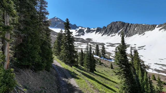 a view of a beach with a ocean view