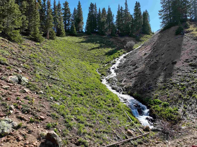 a big yard with lots of green space