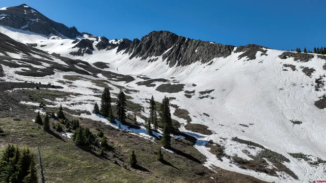 a view of a back yard of the house