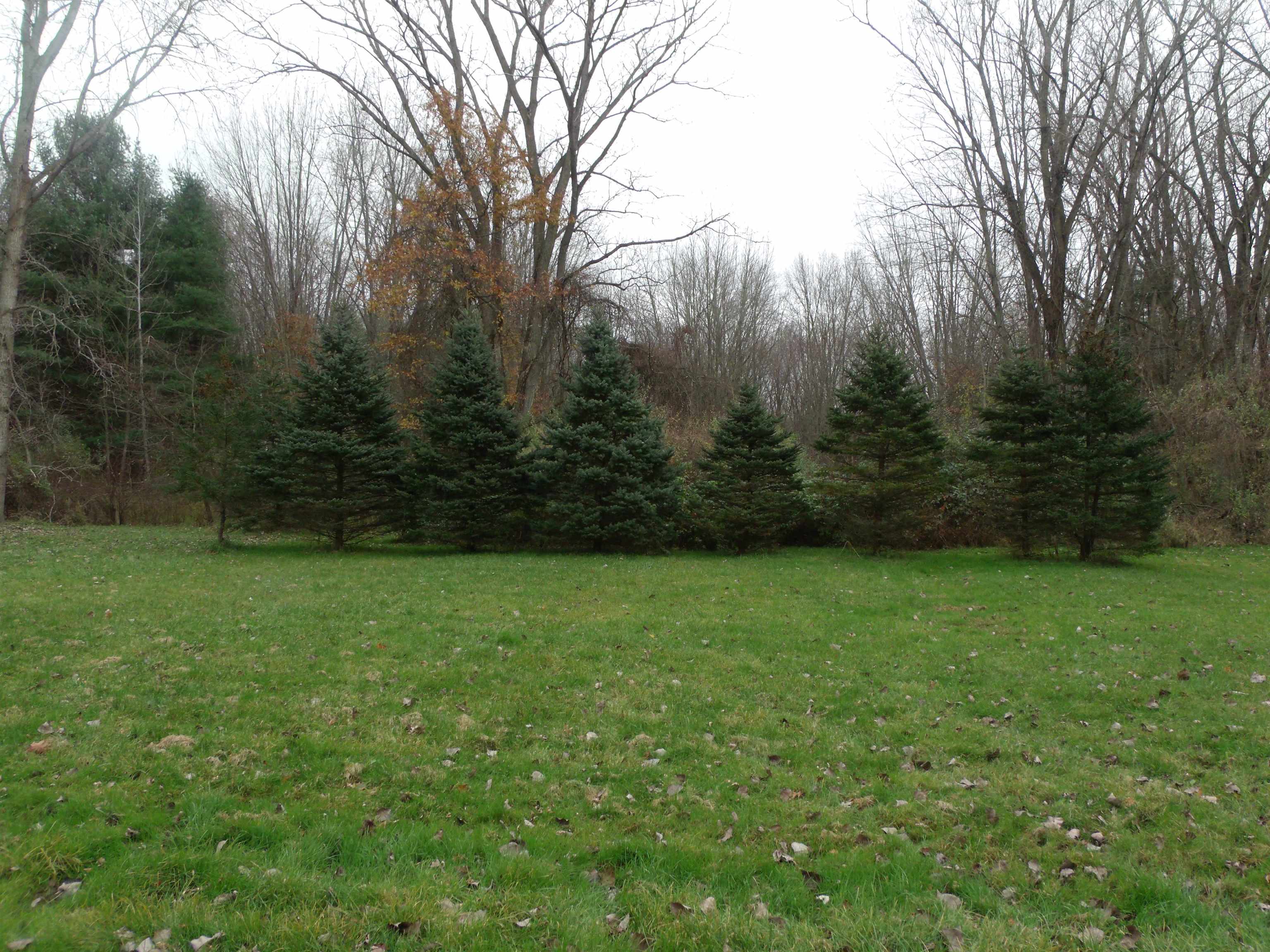 3677 Palms Road Casco, MI 48064 - Photo 36 of 40 50128659-35.JPG