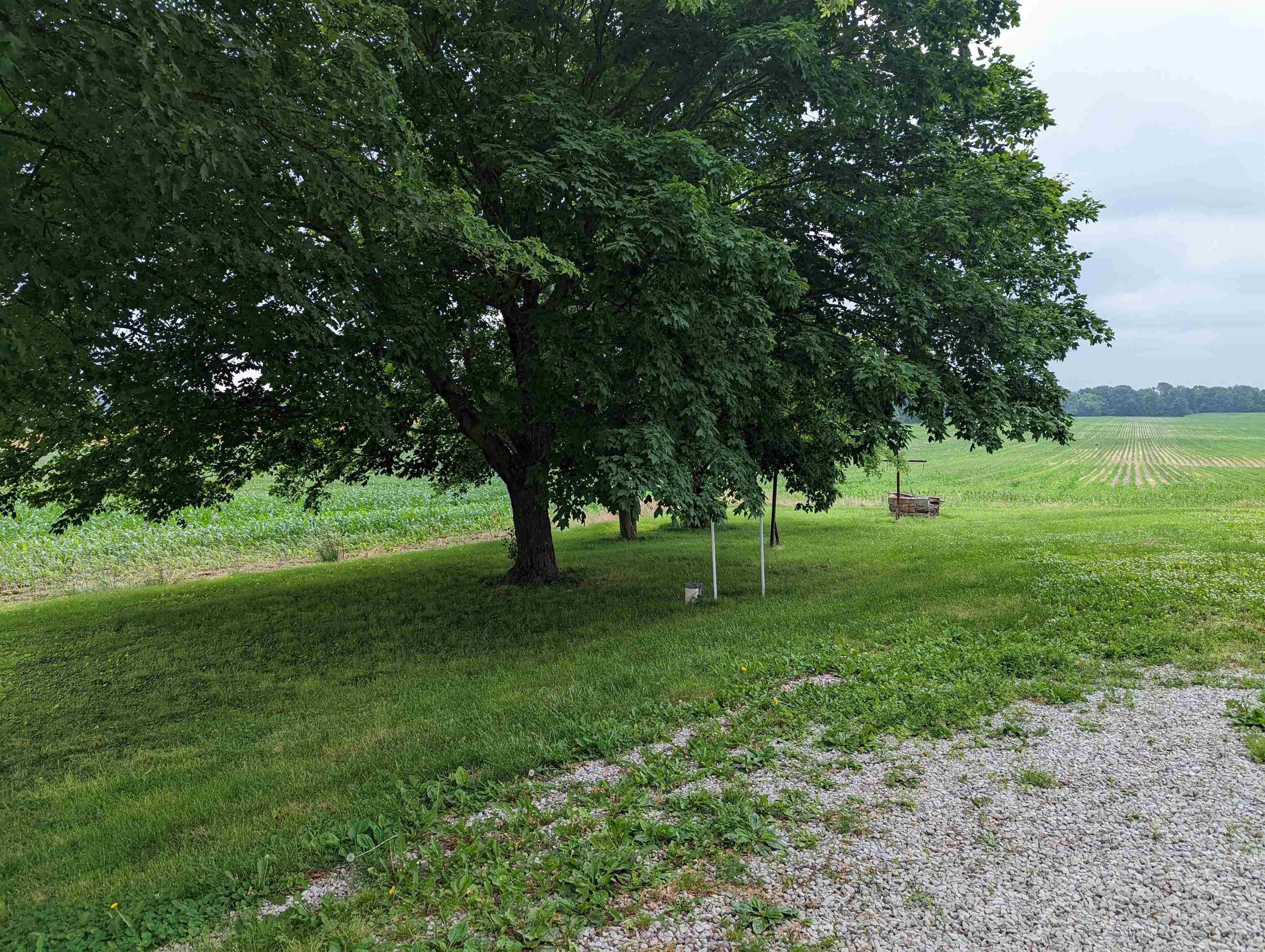 11416 North Scott Road Oaktown, IN 47561 - Photo 19 of 19 Gallery Image 19