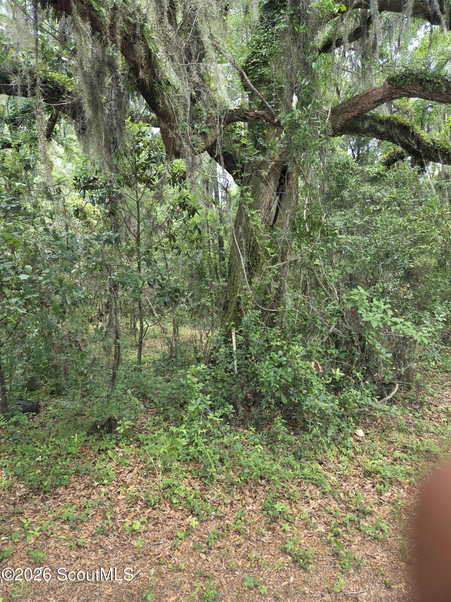 2.83-ac Young Man Road Northeast Townsend, GA 31331 - Photo 2 of 7 20260623_140913