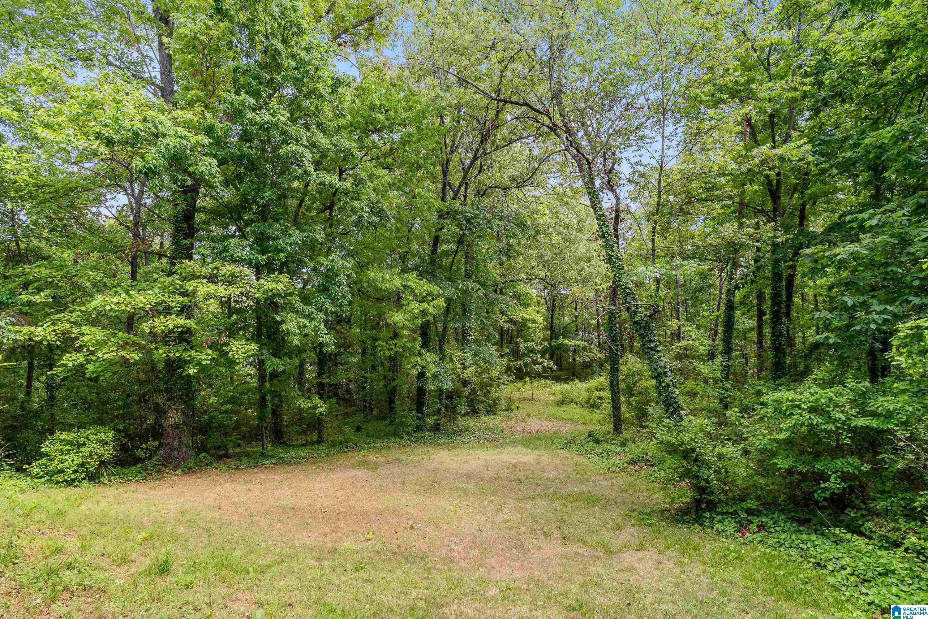 4617 Tecumseh Lane Pelham, AL 35124 - Photo 35 of 45