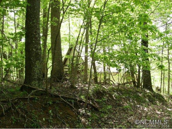Tbd Granny Shepherd Road Mars Hill, NC 28754 - Photo 20 of 22 Gallery Image 20
