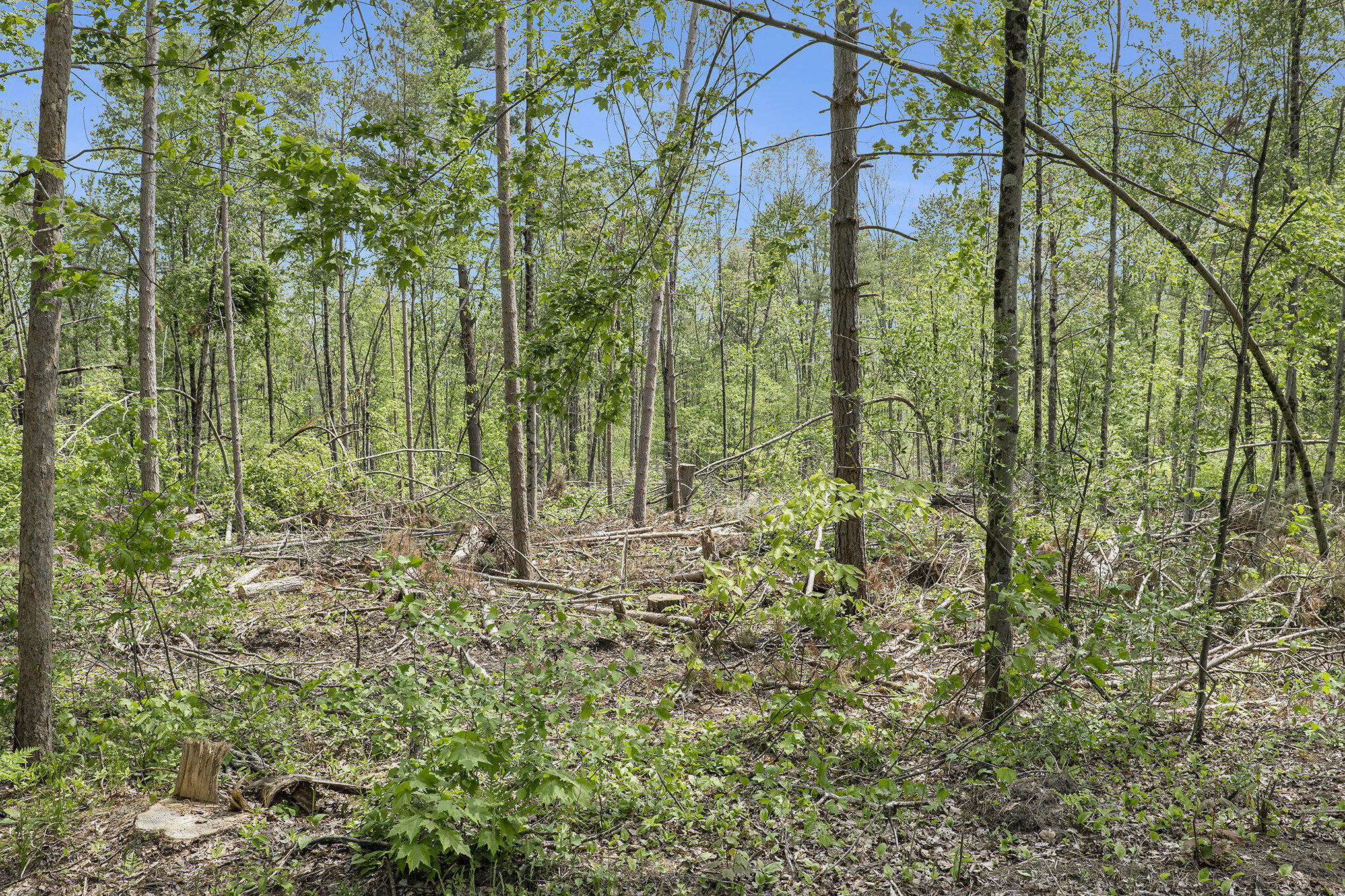 Parcel D North Amy School Road Howard City, MI 49329 - Photo 5 of 12 015_parcel_abcd-09