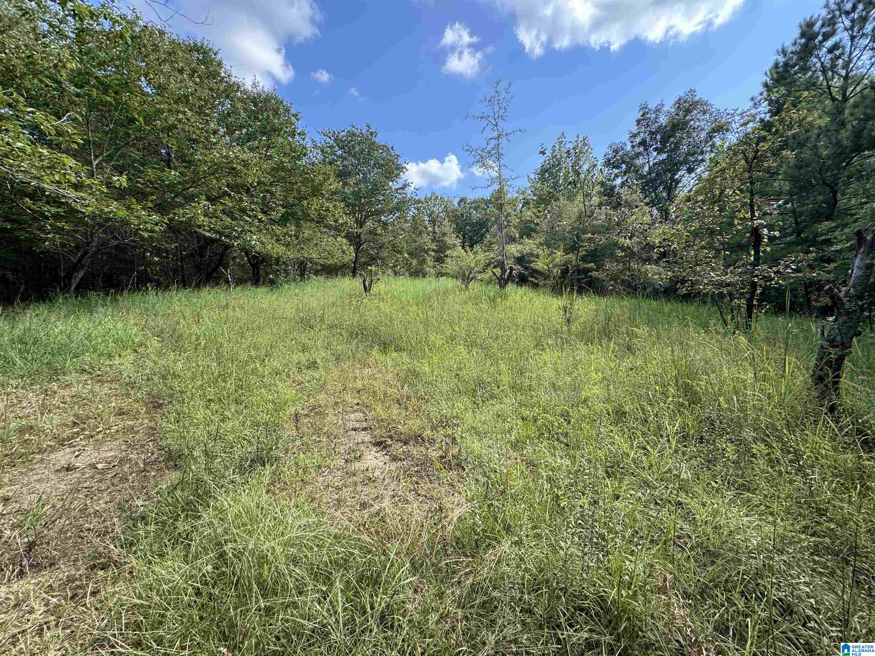 20394 County Road 55 Sterrett, AL 35147 - Photo 8 of 43
