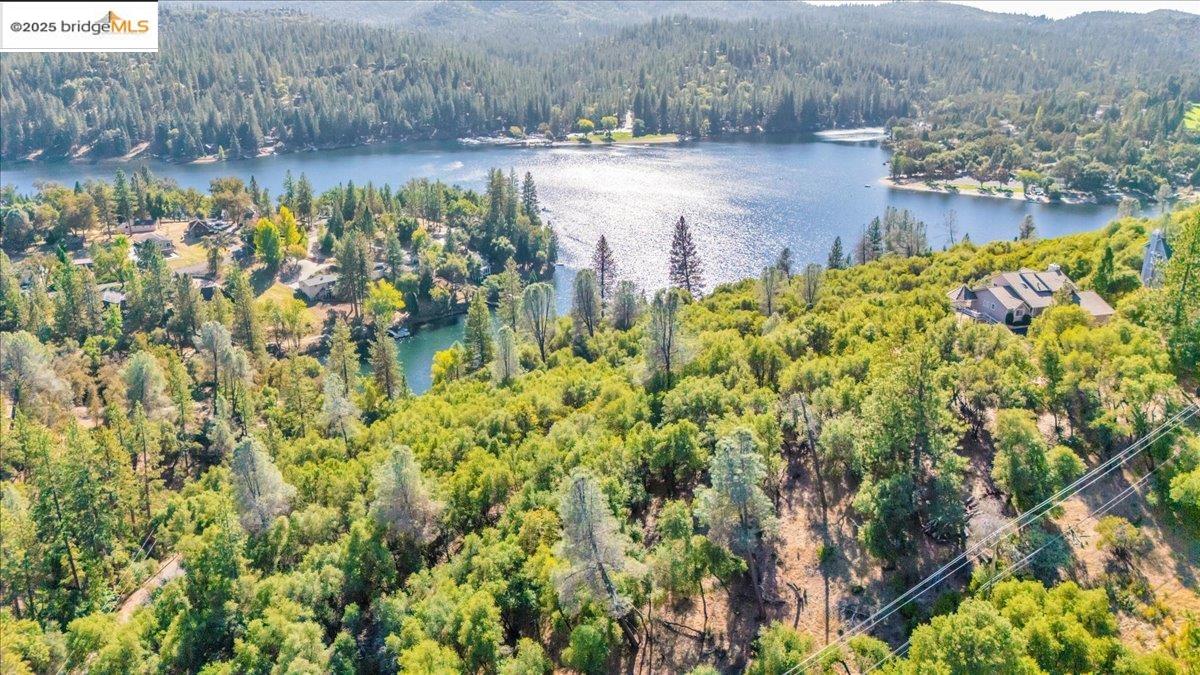 20275 Ferret Court Groveland, CA 95321 - Photo 3 of 9 a view of a yard with plants and a bench