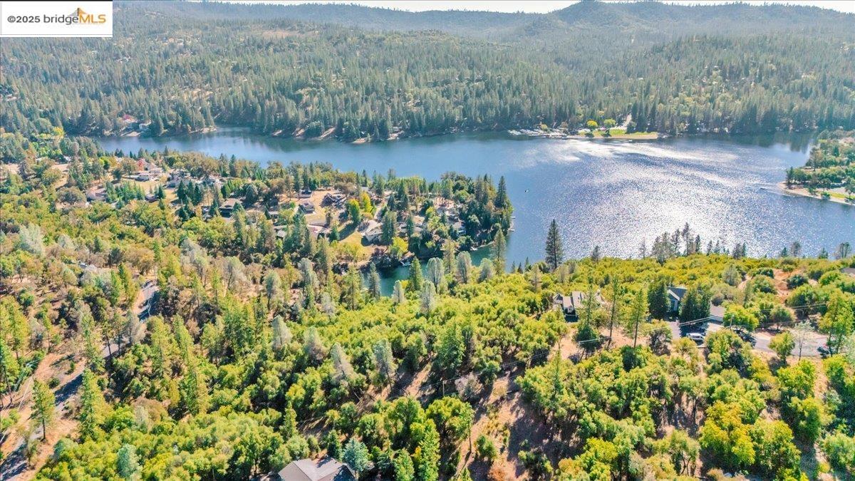 20275 Ferret Court Groveland, CA 95321 - Photo 4 of 9