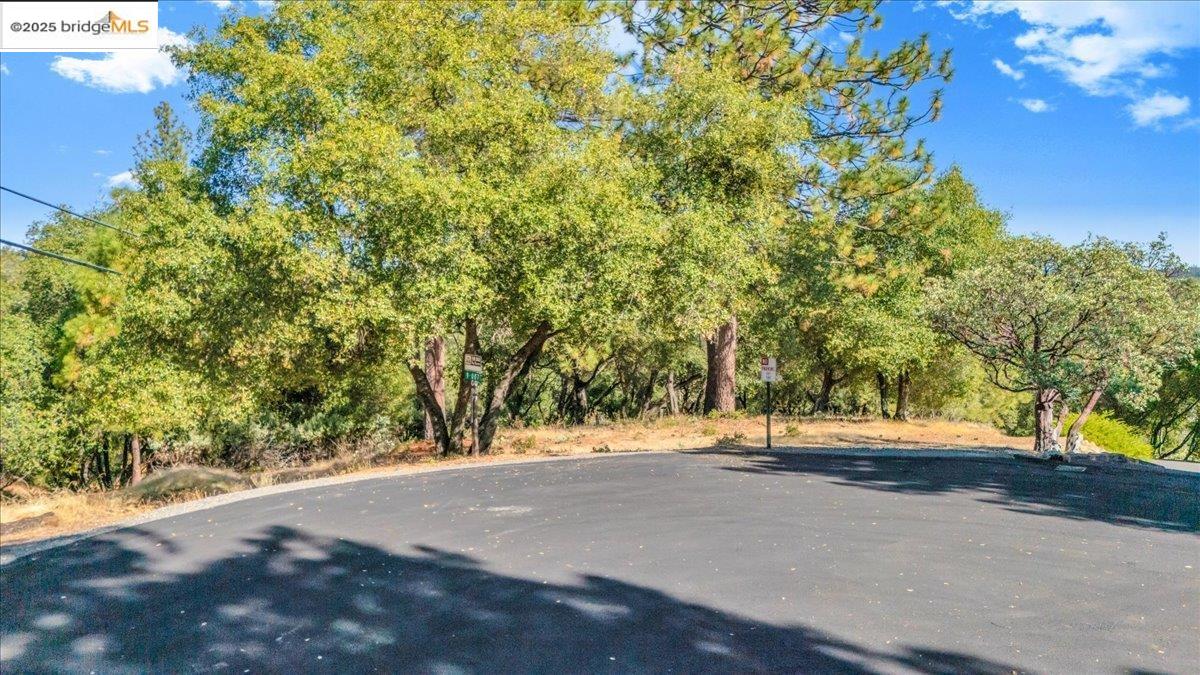20275 Ferret Court Groveland, CA 95321 - Photo 6 of 9 a view of tree