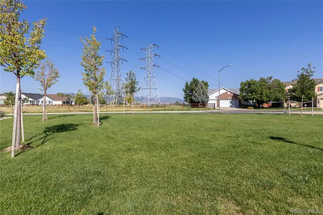 a view of a field with tree in the background