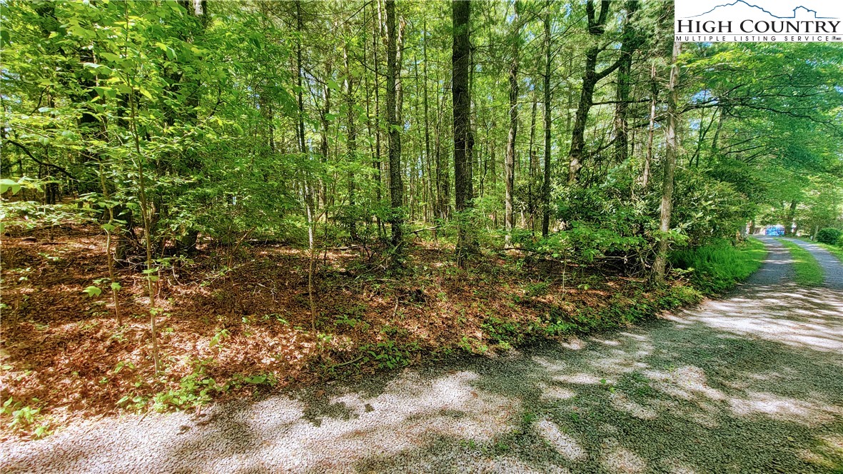 Island Ford Road Laurel Springs, NC 28644 - Photo 9 of 12 Gallery Image 9