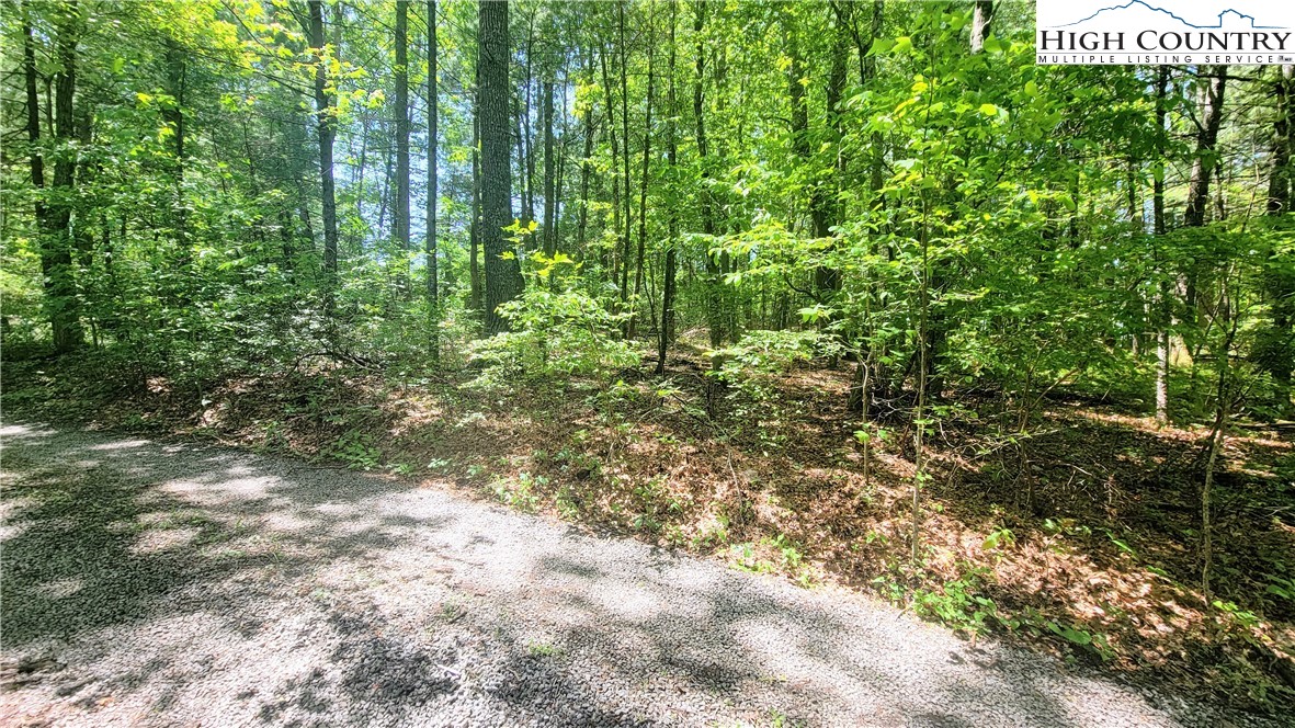 Island Ford Road Laurel Springs, NC 28644 - Photo 10 of 12 Gallery Image 10