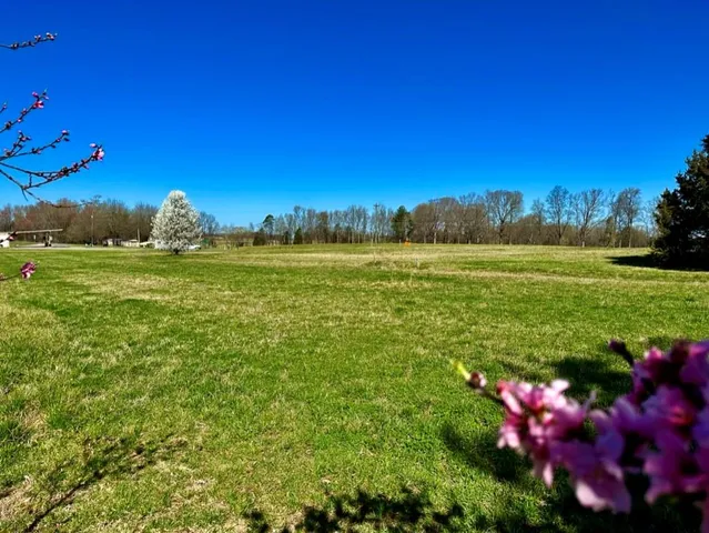 a view of a lake with a yard