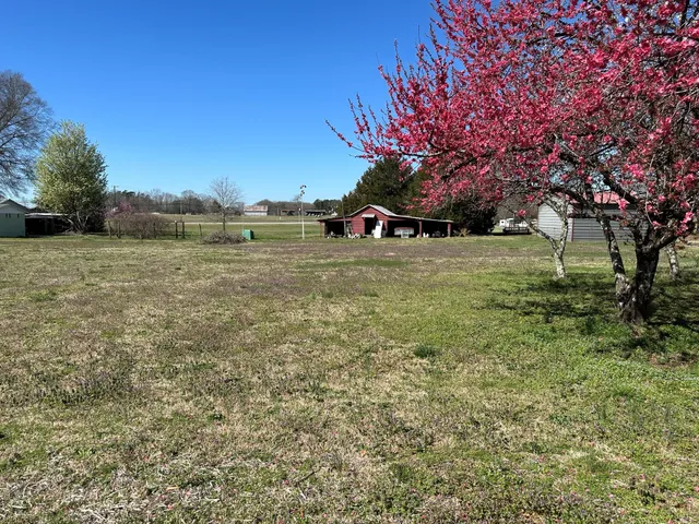 a view of a field with trees