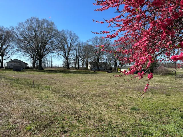 a view of yard with a house in the background