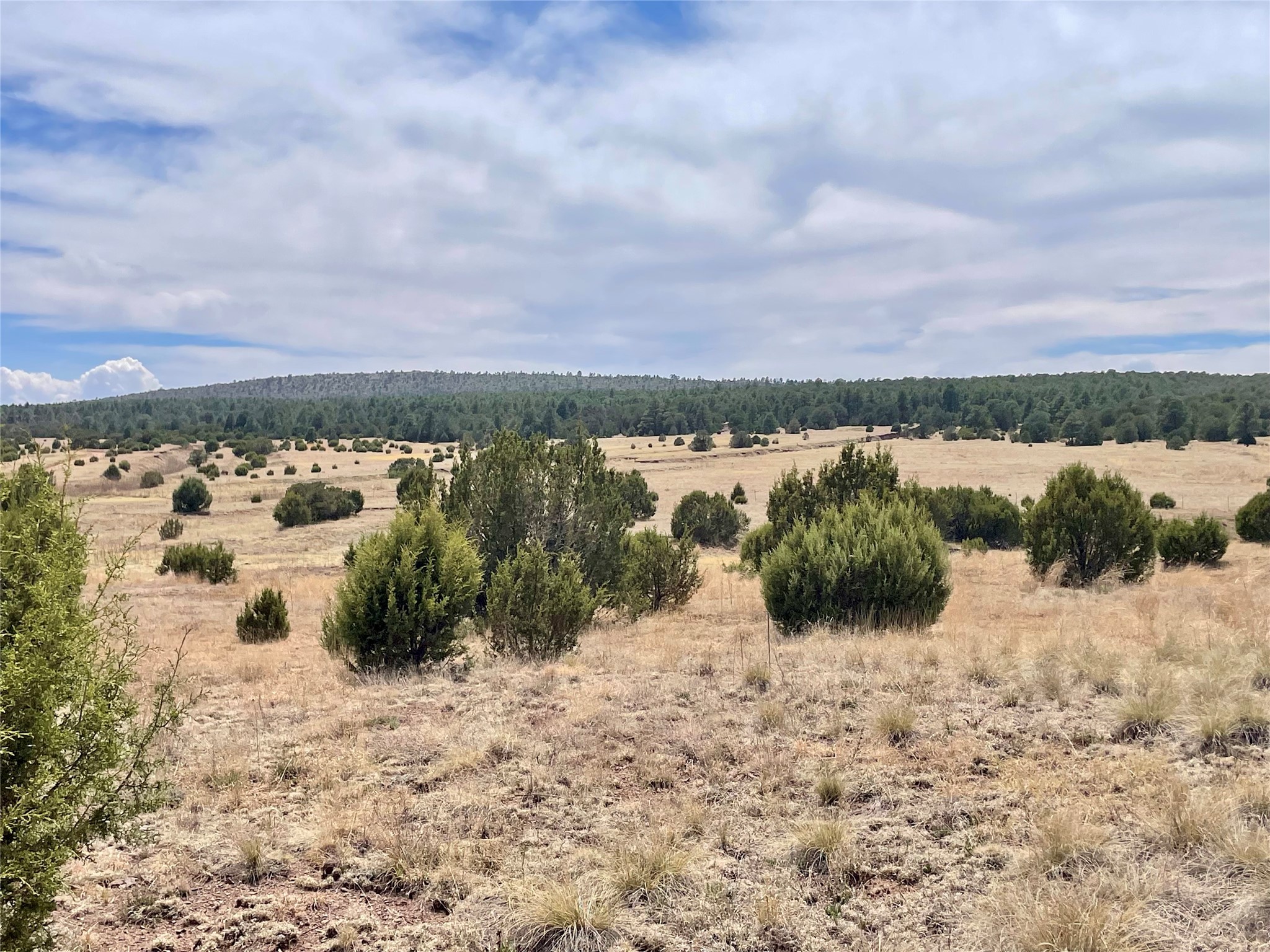 331 Mirasol Road Las Vegas, NM 87701 - Photo 14 of 14