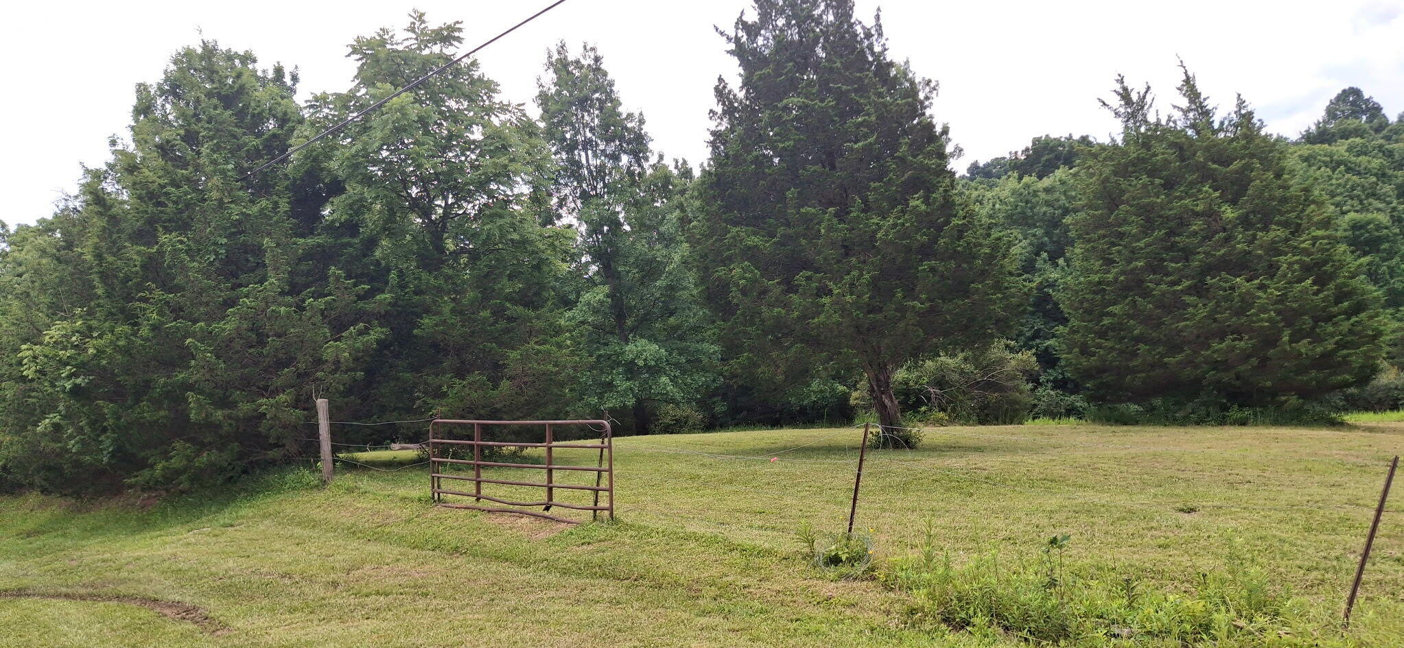 0 Tract 2 Cordova Road Williamstown, KY 41097 - Photo 3 of 5 1000054802