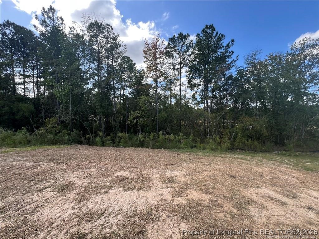3870 Blackhills Road Fayetteville, NC 28311 - Photo 21 of 22 a view of basketball court