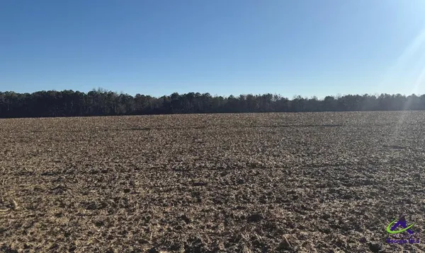 $1,200,000 | 0 Whitfield Road, Elko, GA 31025