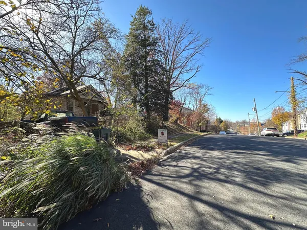 a view of a yard with tree s