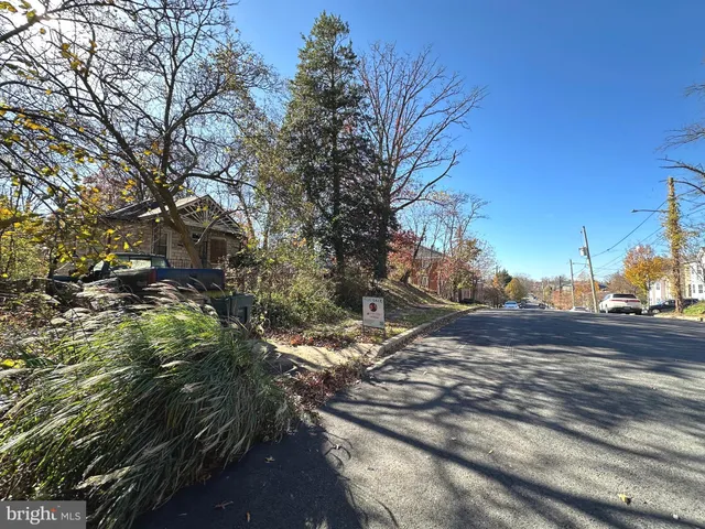 a view of a yard with tree s