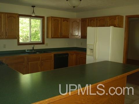 3154 County 426 24th Road Cornell, MI 49818 - Photo 3 of 21