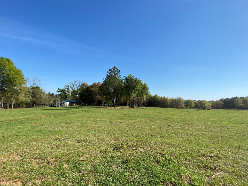 0 Co Road Abbeville, AL 36310 - Photo 11 of 53