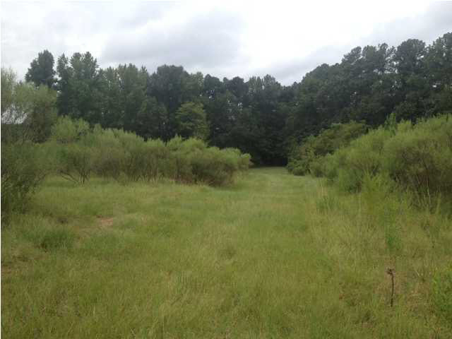 991 Petrified Forest Road Flora, MS 39071 - Photo 1 of 8 Looking towards SW corner