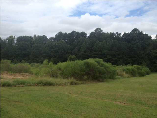 991 Petrified Forest Road Flora, MS 39071 - Photo 3 of 8 Photo 3