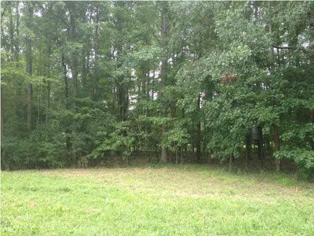 991 Petrified Forest Road Flora, MS 39071 - Photo 5 of 8 Secluded acreage in Madison county