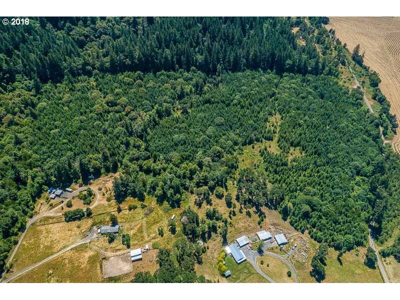 31298 Berlin Road Lebanon, OR 97355 - Photo 4 of 31