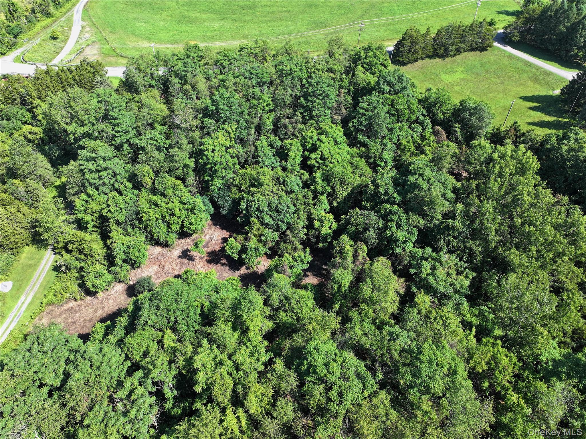 Bells Pond Road Hudson, NY 12541 - Photo 11 of 27 Gallery Image 11