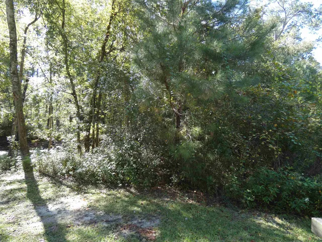 $95,000 | Tbd Namon Spears Road, Crawfordville, FL 32327