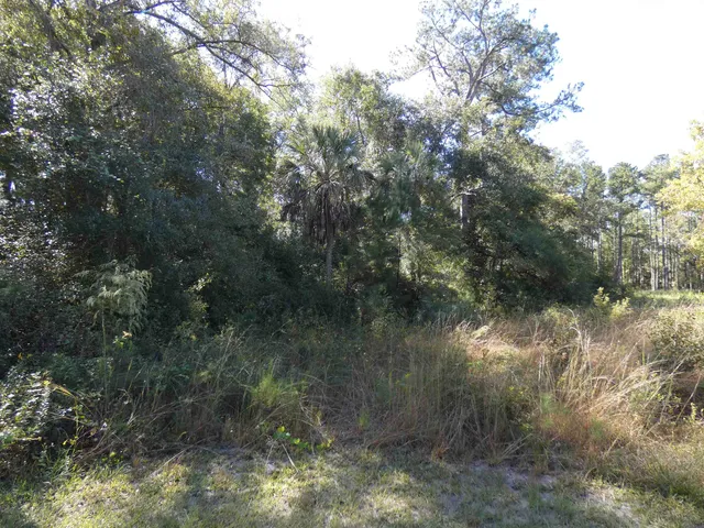 $95,000 | Tbd Namon Spears Road, Crawfordville, FL 32327