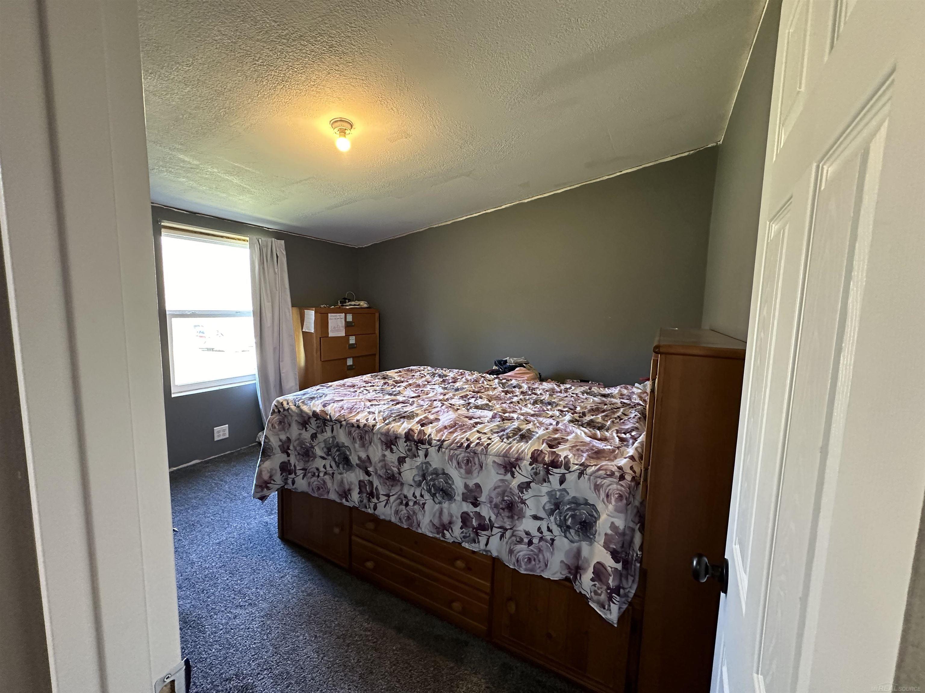 3720 Walker Road Carsonville, MI 48419 - Photo 19 of 32