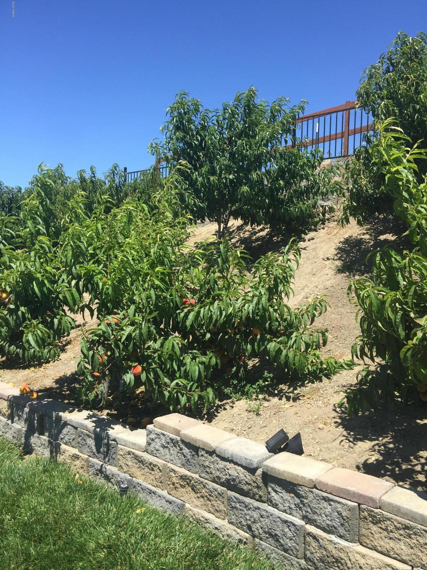 2610 Le Valley Road Lompoc, CA 93436 - Photo 31 of 36 a view of a garden with a house
