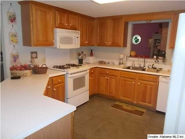 1717 Old Houston Road Arley, AL 35541 - Photo 7 of 13