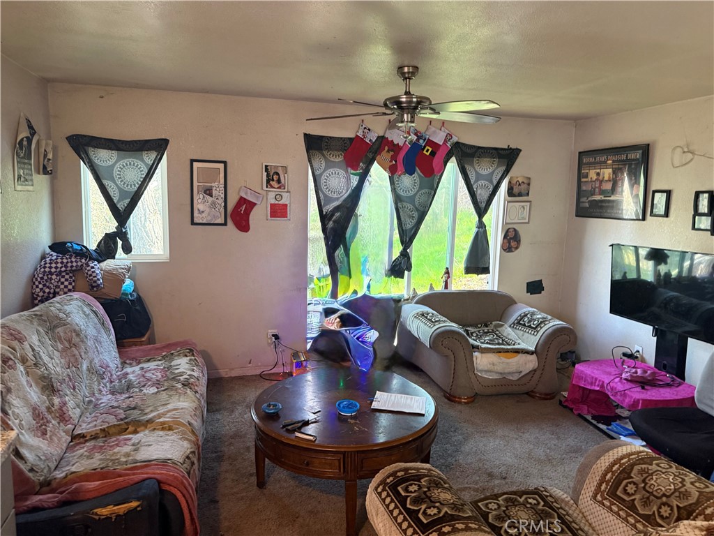 13270 Arrowhead Road Clearlake, CA 95422 - Photo 8 of 11 a living room with furniture and a bed