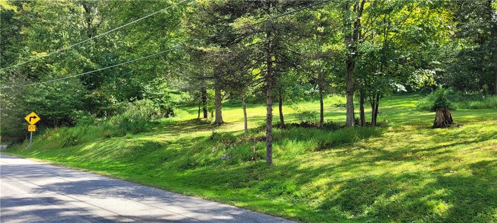 Lot Renfrew Renfrew Road Renfrew, PA 16053 - Photo 2 of 8