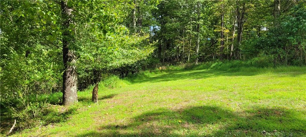 Lot Renfrew Renfrew Road Renfrew, PA 16053 - Photo 5 of 8 a view of backyard with green space