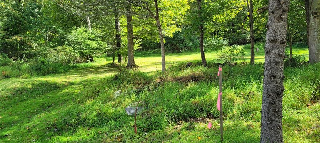 Lot Renfrew Renfrew Road Renfrew, PA 16053 - Photo 7 of 8 a view of a garden with a tree