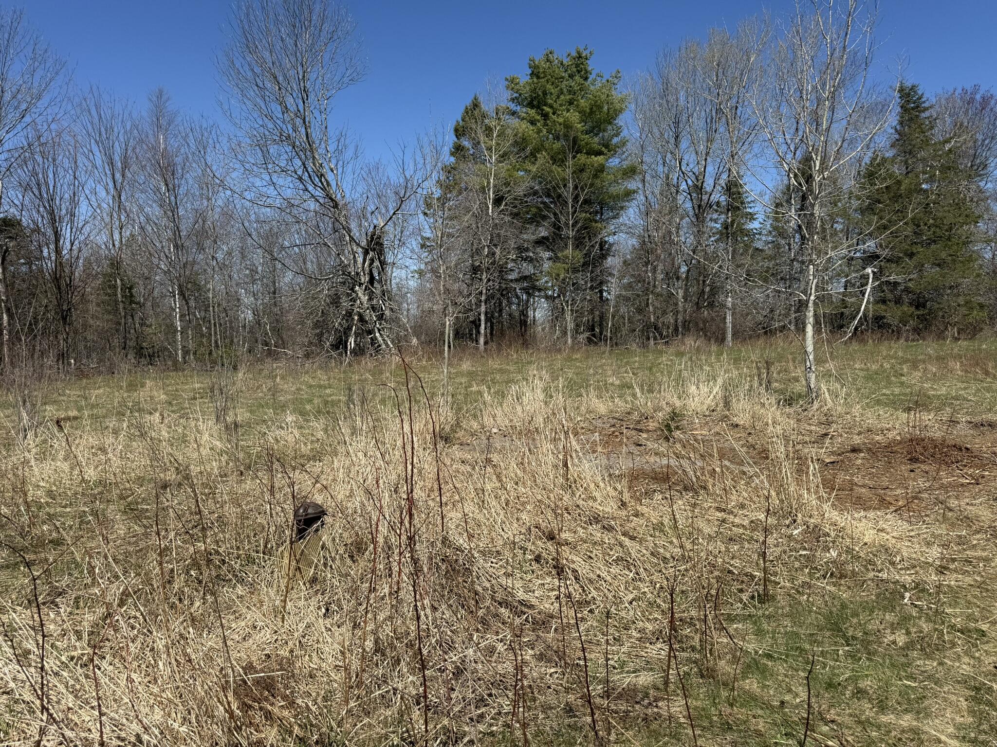 1122 Bucksmills Road Bucksport, ME 04416 - Photo 28 of 34 IMG_3778