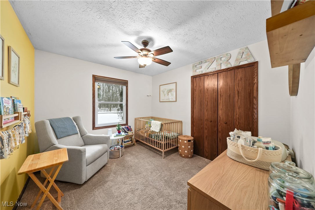110 Judson Road Kent, OH 44240 - Photo 27 of 35 Sitting room featuring ceiling fan, light colored carpet, and a textured ceiling