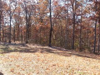 151 Edenway Road Dover, TN 37058 - Photo 4 of 20 Gallery Image 4